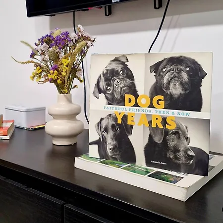 West Station Gallery - Free Parking, Cozy Home, Perfect For Families Budapeszt