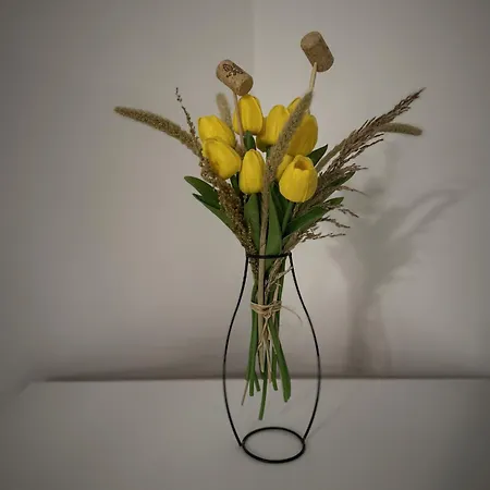 West Station Gallery - Free Parking, Cozy Home, Perfect For Families Apartament